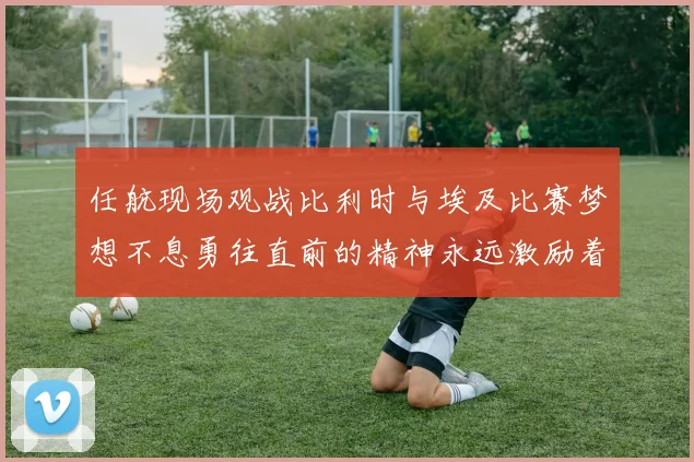 任航现场观战比利时与埃及比赛梦想不息勇往直前的精神永远激励着我们