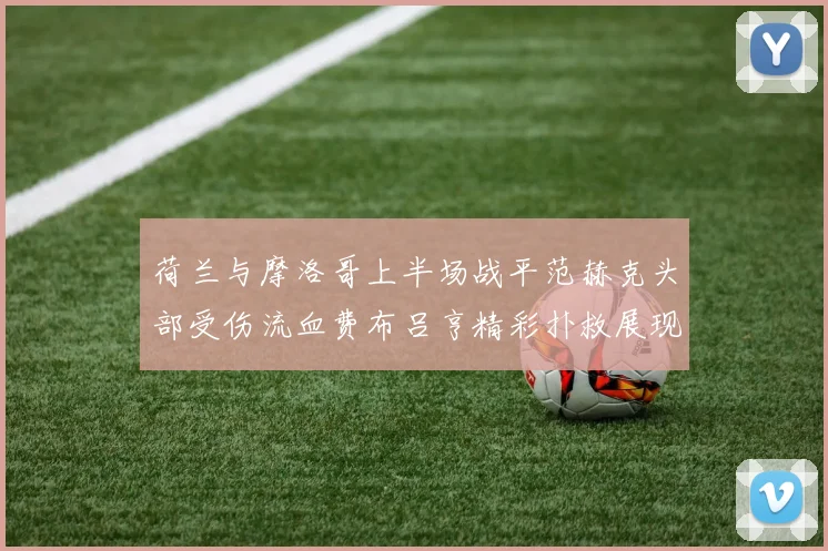 荷兰与摩洛哥上半场战平范赫克头部受伤流血费布吕亨精彩扑救展现实力